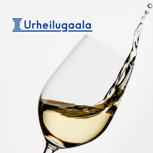 Gaala viini: Dominio de Mudela VERDEJO - AIREN 2024